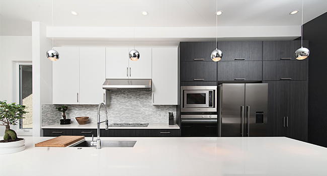 monochrome kitchen design with black and white cupboards
